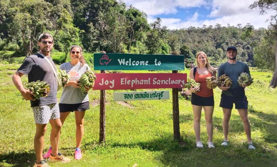 Chiang Mai: Full Day Ethical Elephant Sanctuary & Waterfall - The first jungle hours: feeding and watching elephants roam