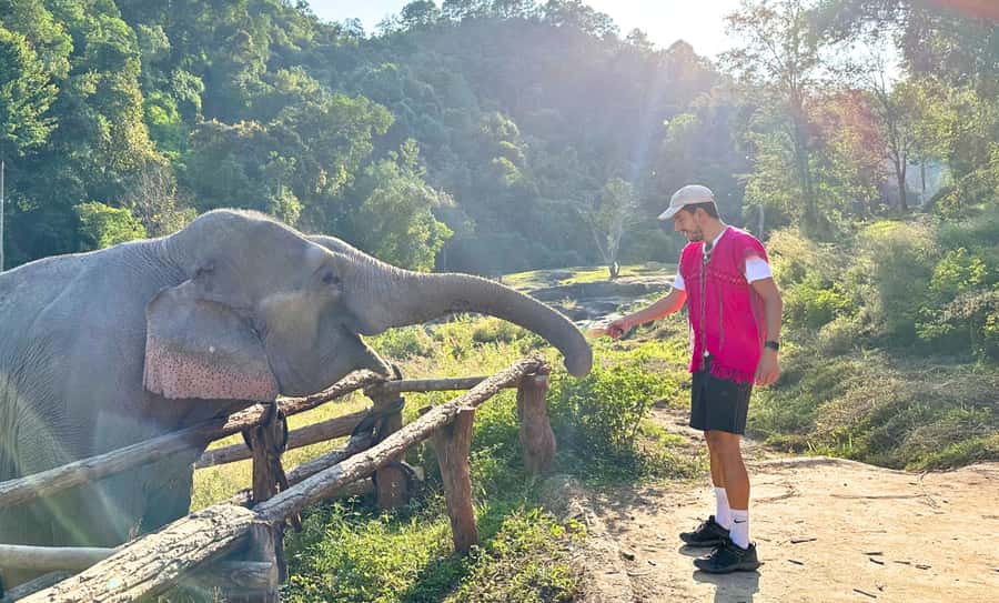 Chiang Mai: Full Day Ethical Elephant Sanctuary & Waterfall - Craft time: a Thai cultural handmade souvenir you actually make