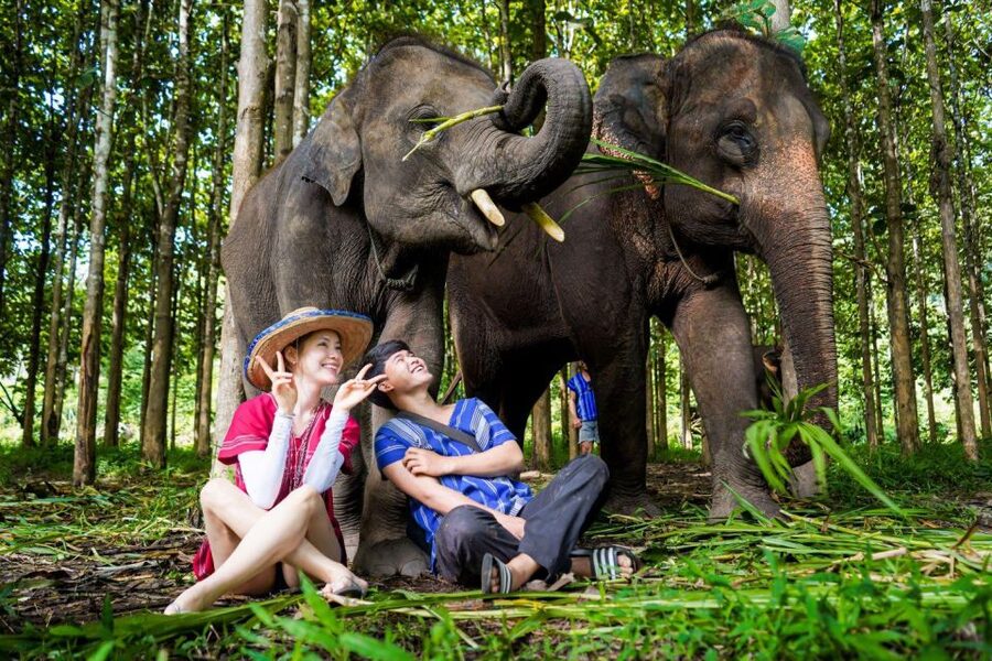 Chiang Mai: Full-Day Kerchor Elephant Eco Park Tour & Trek - Lunch Break in the Park: A Real Pause Before the Waterfall