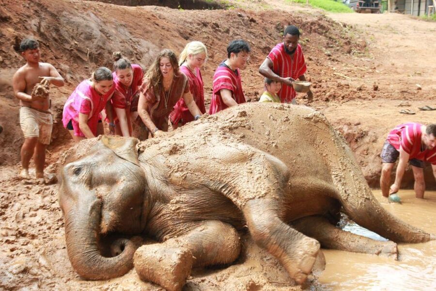 Chiang Mai: Full-Day Kerchor Elephant Eco Park Tour & Trek - First Stop at Kerchor: Briefing, Setup, and Park Rules