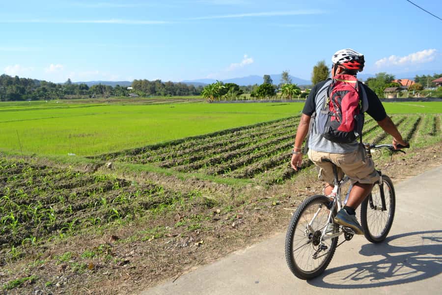 Chiang Mai: Full-Day Nature & Countryside by Bicycle - Cycling Mae Taeng: quiet roads, rice fields, and village stops
