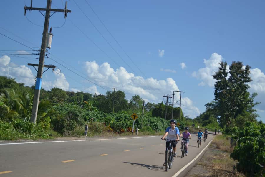 Chiang Mai: Full-Day Nature & Countryside by Bicycle - Lunch and tea: Thai food breaks the day nicely
