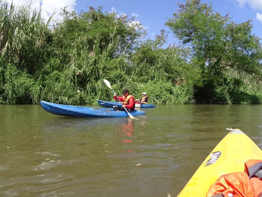 Chiang Mai: Full-Day Nature & Countryside by Bicycle - Should you book Chiang Mai Full-Day Nature & Countryside by Bicycle?