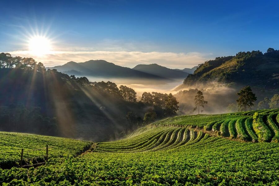 Chiang Mai: Full-Day Private Car Charter to Doi Ang Khang - Costs and value for a 12-hour private car day from Chiang Mai