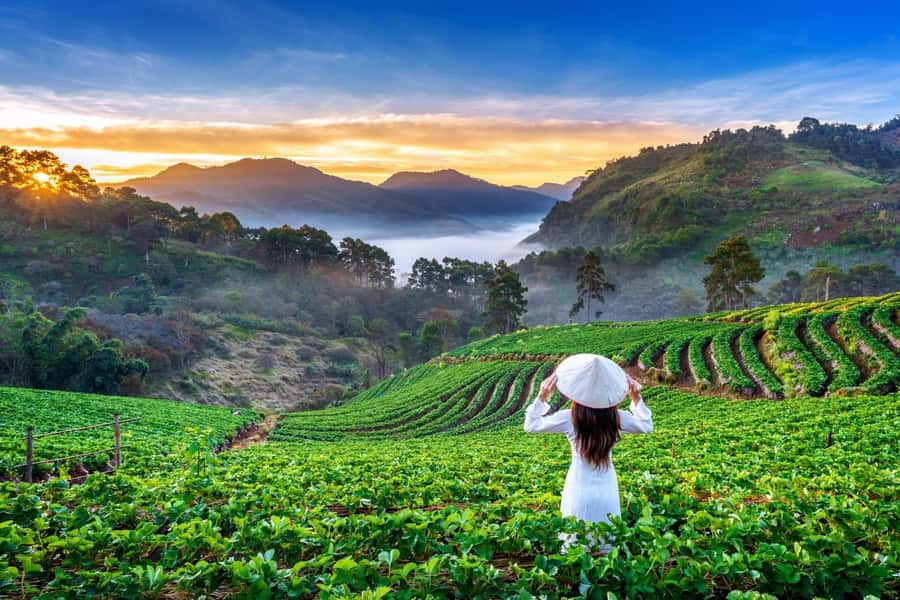 Chiang Mai: Full-Day Private Car Charter to Doi Ang Khang - Why Ang Khang’s mountain scenery is such a contrast to Chiang Mai