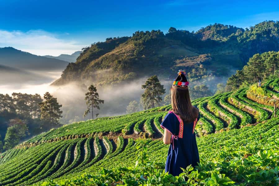 Chiang Mai: Full-Day Private Car Charter to Doi Ang Khang - Driving time reality check: you’ll spend hours in transit