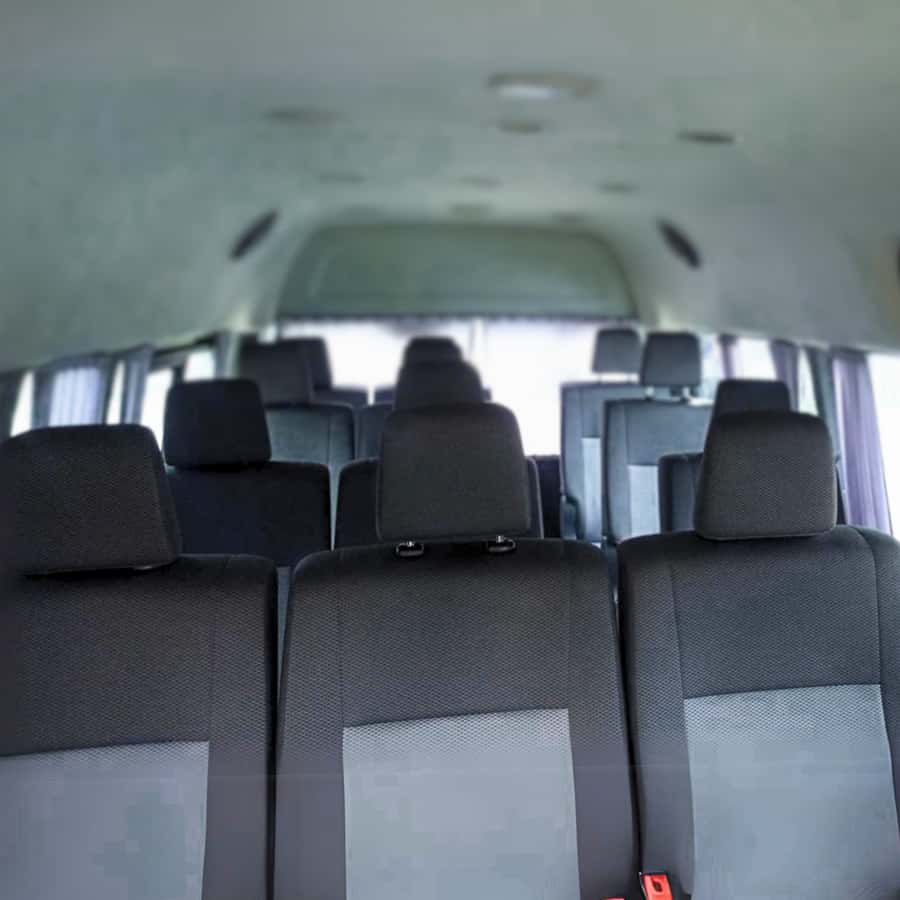 Chiang Mai: Full-Day Private Car Charter to Doi Ang Khang - Wild cherry in February: when timing actually changes the day