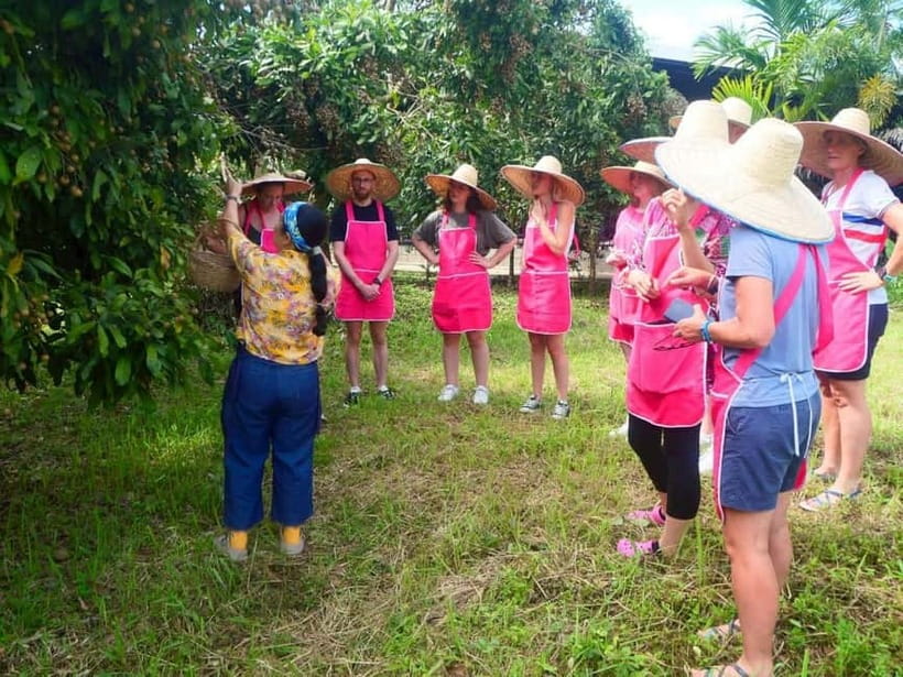 Chiang Mai: Full-Day Thai Cooking Experience at a Local Farm - Key things you’ll remember from this Chiang Mai farm cooking day