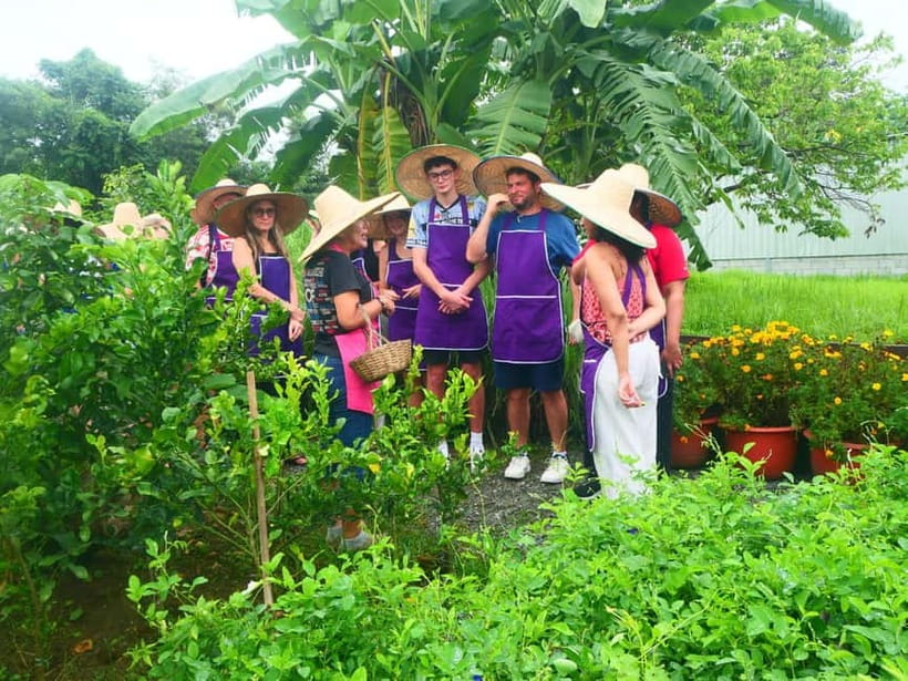 Chiang Mai: Full-Day Thai Cooking Experience at a Local Farm - Hotel pickup and the early start you should plan for