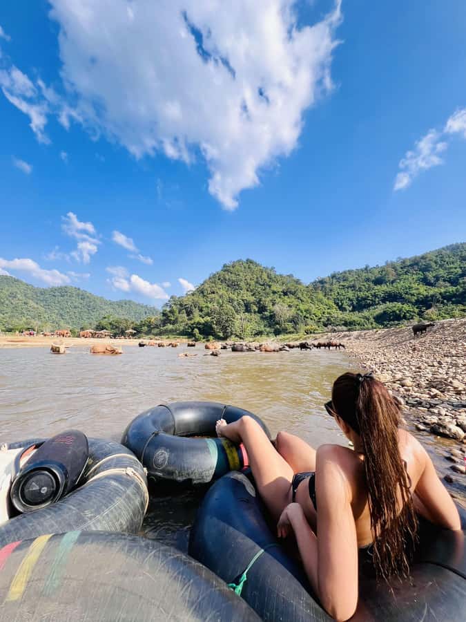 Chiang Mai Full-Day: Trekking, Tubing & Elephant Observation - Trek to Tard Mok Waterfall: moderate effort, real jungle payoff