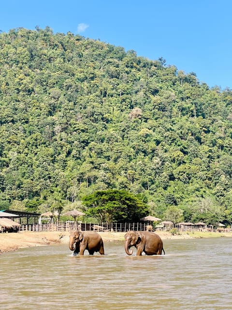 Chiang Mai Full-Day: Trekking, Tubing & Elephant Observation - Thai lunch and base camp downtime, the secret to not feeling wrecked