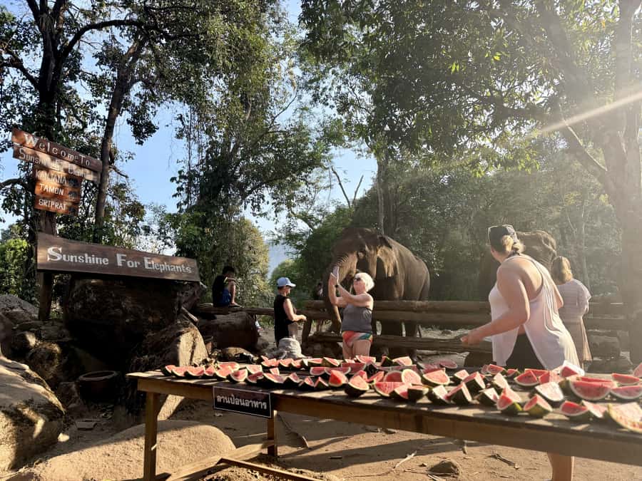 Chiang Mai Full-Day: Trekking, Tubing & Elephant Observation - Saa Gee Falls slide: a pool-to-fun moment, but only on Option 1