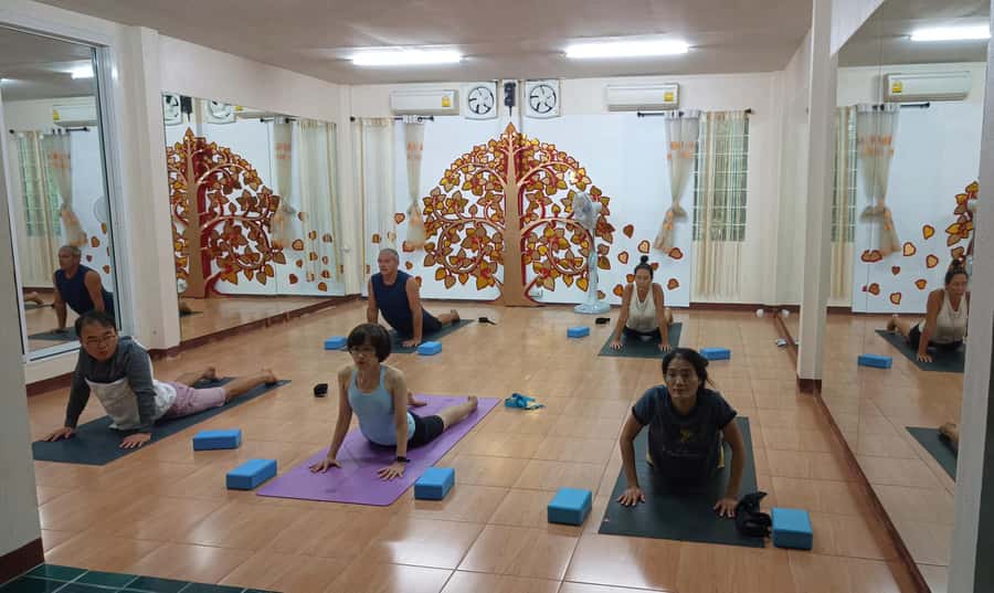 Chiang Mai: Full-Day Yoga & Meditation Experience with Lunch - Who should book this retreat (and who might not)