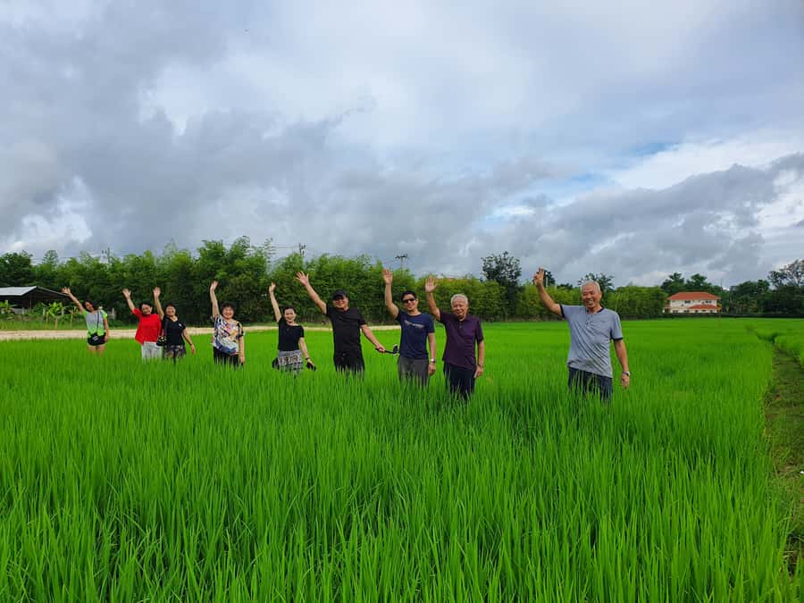 Chiang Mai: Full-Day Yoga & Meditation Experience with Lunch - Yoga in Amori’s studio or garden, plus props
