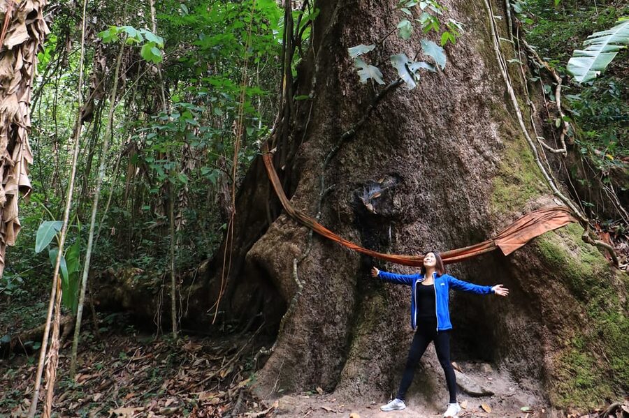 Chiang Mai: Gibbons, Trekking & Mae Kampong Small Group Tour - Key highlights worth waking up for
