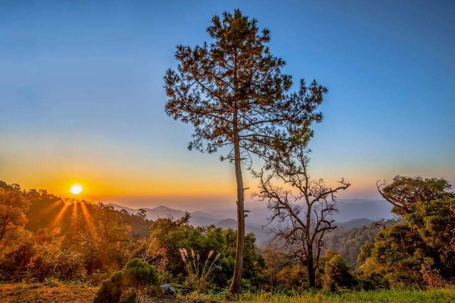 Chiang Mai: Gibbons, Trekking & Mae Kampong Small Group Tour - FAQ