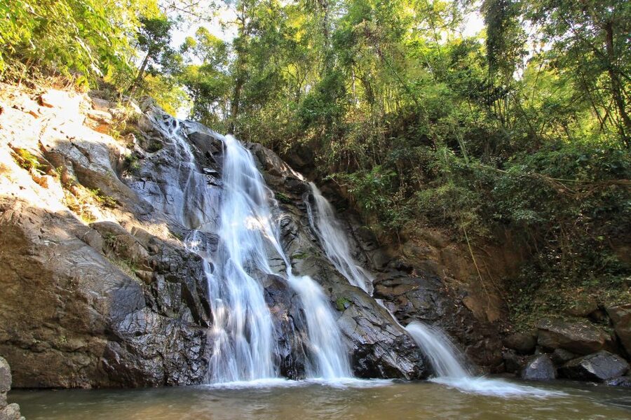 Chiang Mai: Guided Jungle and Waterfall Trek with Transfer - Pacing, Terrain, and Who Will Enjoy This Most