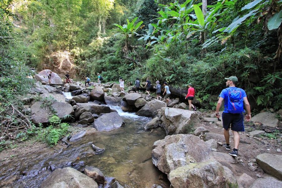 Chiang Mai: Guided Jungle and Waterfall Trek with Transfer - Price and Value: Around $64 for a 6-Hour Day