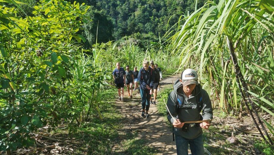Chiang Mai: Guided Jungle and Waterfall Trek with Transfer - Language, Guide Style, and How Communication Works