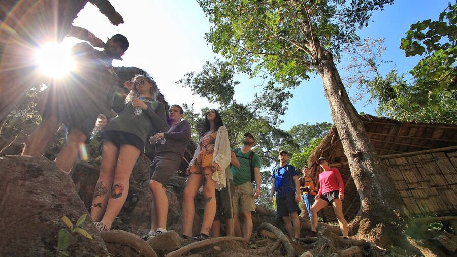Chiang Mai: Guided Jungle and Waterfall Trek with Transfer - Jungle Walking With a Guide Who Actually Makes It Interesting