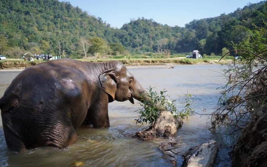 Chiang Mai Half-Day Adventure: River Tubing & Waterfall - Key Things That Make This Chiang Mai Adventure Worth Your Time