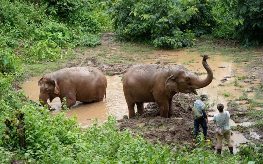 Chiang Mai Half-Day Adventure: River Tubing & Waterfall - Practical Tips: What to Bring, What Not to Bring, and Small Comfort Wins