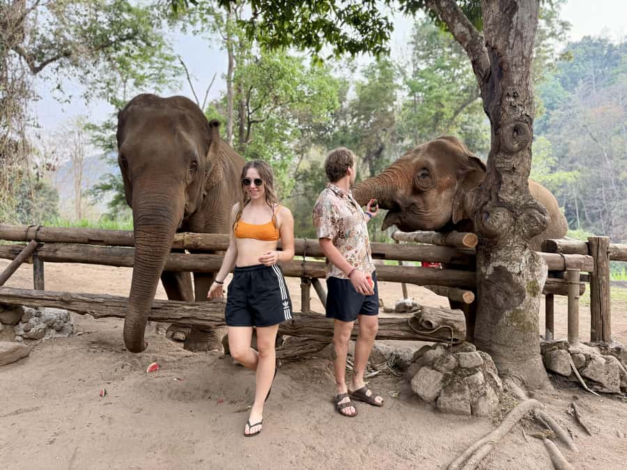 Chiang Mai Half-Day Adventure: River Tubing & Waterfall - Optional Elephant Feeding at Sunshine for Elephants: Ethical Reality Check