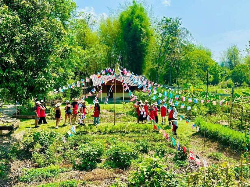 Chiang Mai: Half Day Cooking Class at Organic Farm - A half day Chiang Mai plan that actually teaches Thai cooking