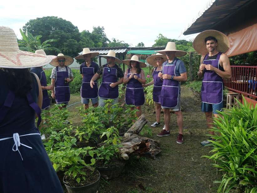 Chiang Mai: Half Day Cooking Class at Organic Farm - Inside the kitchen: individual stations, spice control, and clean workflow