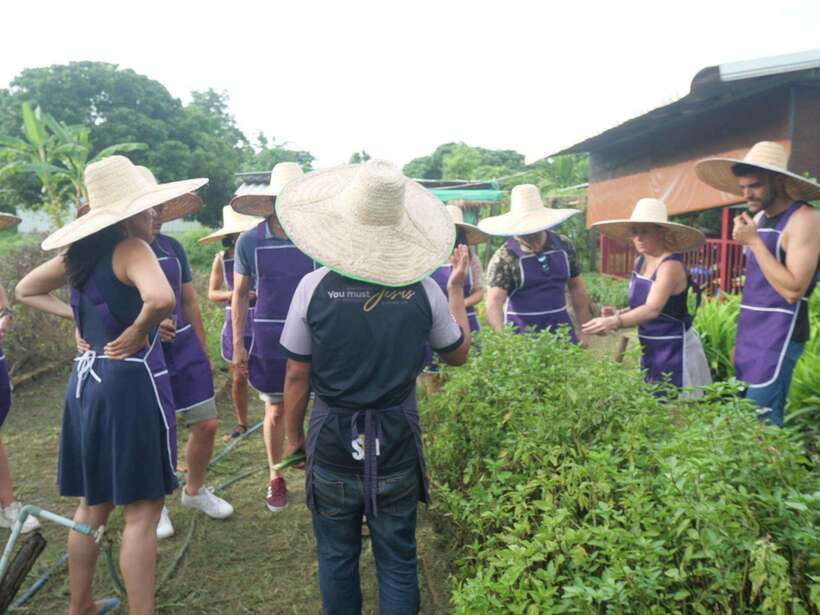 Chiang Mai: Half Day Cooking Class at Organic Farm - The garden tour and herb tasting: learning beyond recipes