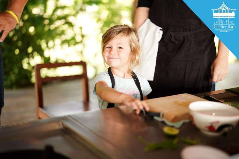 Chiang Mai: HALF-DAY COOKING COURSE at a Thai Cooking Farm - Price and value: $28 for transport, ingredients, and a recipe e-book
