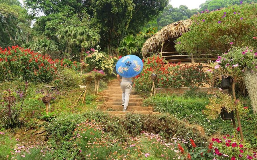 Chiang Mai: Half day Doi Suthep and Meo Village - Key highlights to look forward to