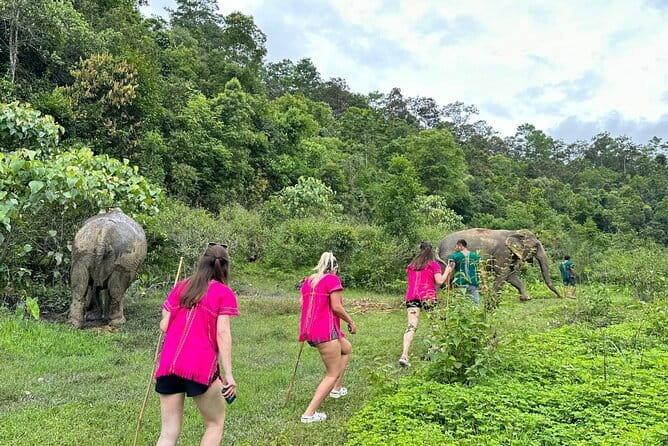 Chiang Mai Half Day Elephant Sanctuary Observation and Waterfall - Elephant observation and feeding: what you do and what you should expect
