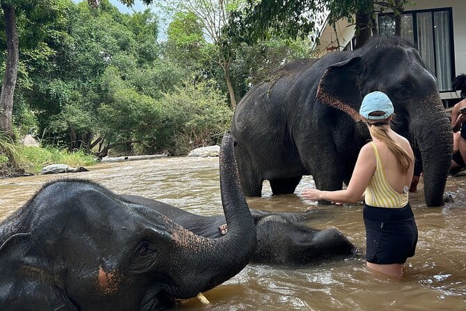 Chiang Mai Half Day Elephant Sanctuary Observation and Waterfall - The jungle walk and waterfall swim: gear that actually matters