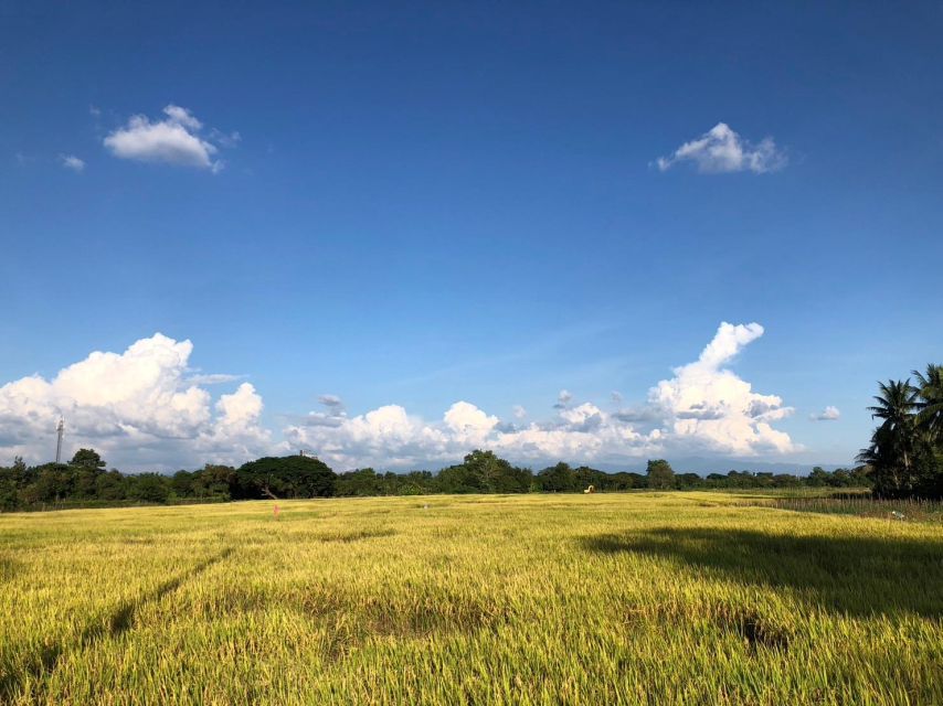 Chiang Mai: Half-Day Private Bicycle Tour with Lunch - Wat Ket Karam: a photo stop that turns into a story