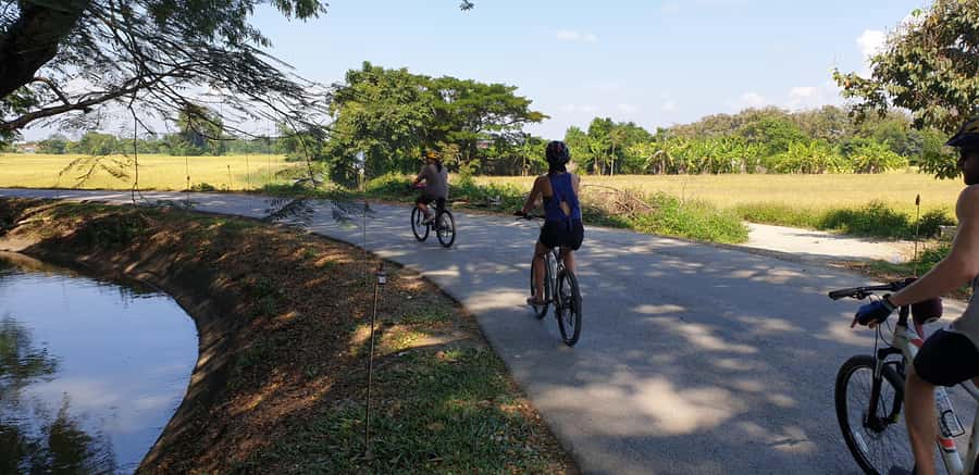 Chiang Mai: Half-Day Private Bicycle Tour with Lunch - Cycling toward flower gardens, rice fields, and plantations