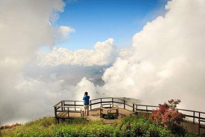 Chiang Mai Half Day Tour: Doi Inthanon Elephant Sanctuary - Lunch after the sanctuary: simple, local, and diet-aware