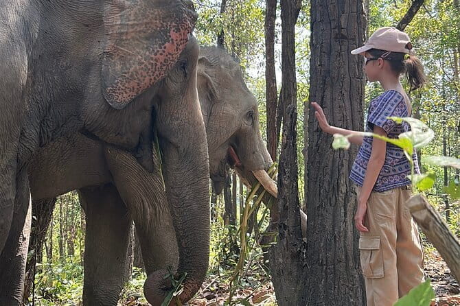 Chiang Mai Half Day Tour: Doi Inthanon Elephant Sanctuary - Meeting your guide: Karen Hill cultural context that goes beyond trivia