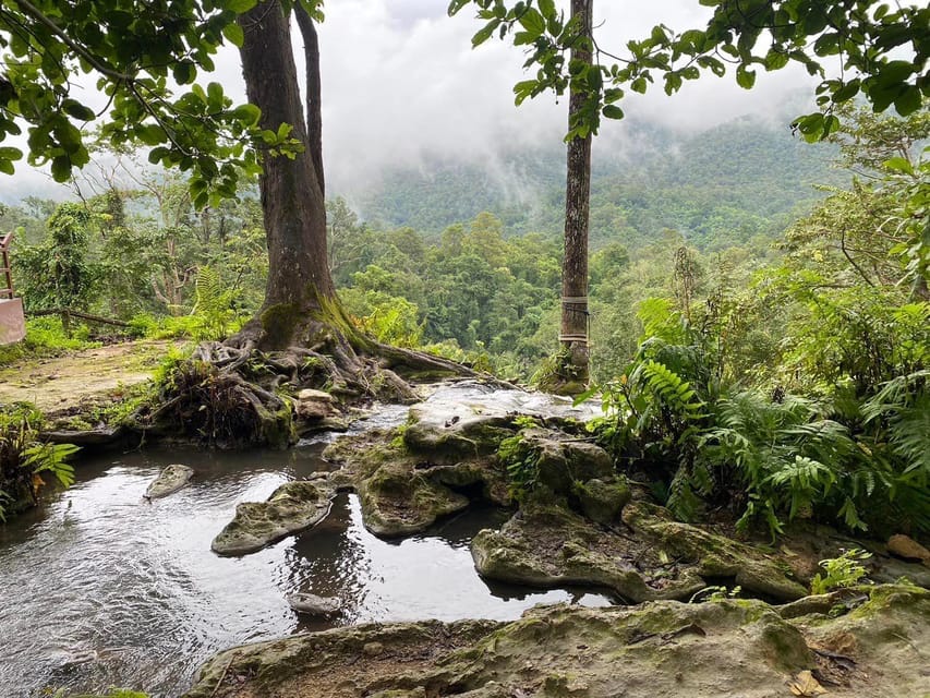 Chiang Mai Half Day Tour: Sticky Waterfall & Hotel Transfer - Why Bua Tong Sticky Waterfalls Feel Like a Spider-Man Climb