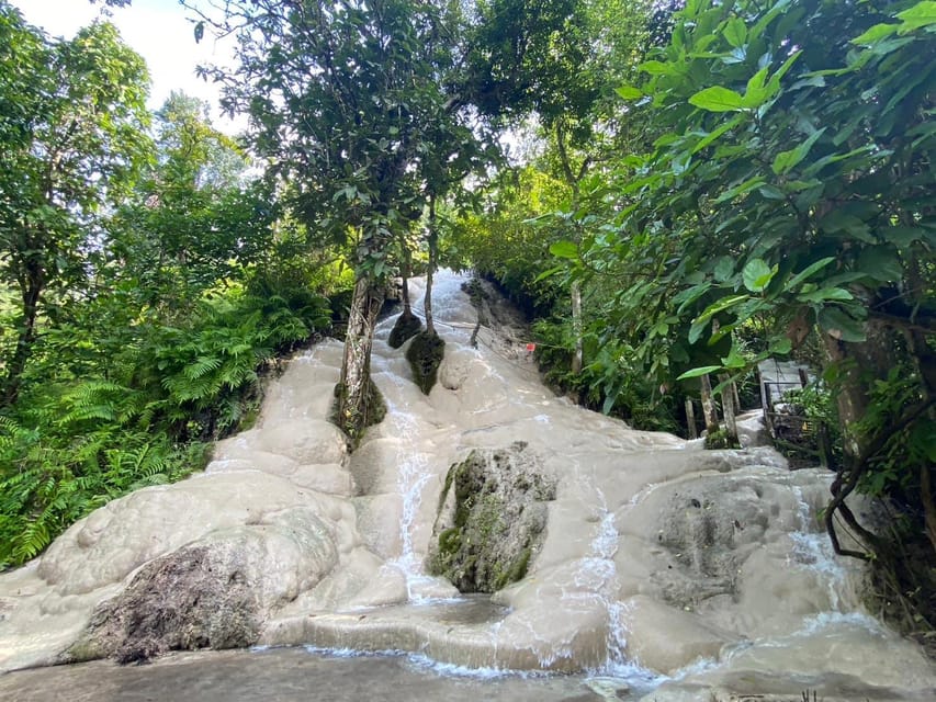 Chiang Mai Half Day Tour: Sticky Waterfall & Hotel Transfer - What Makes This a Half-Day Worth Your Time (Not a Full Day Project)