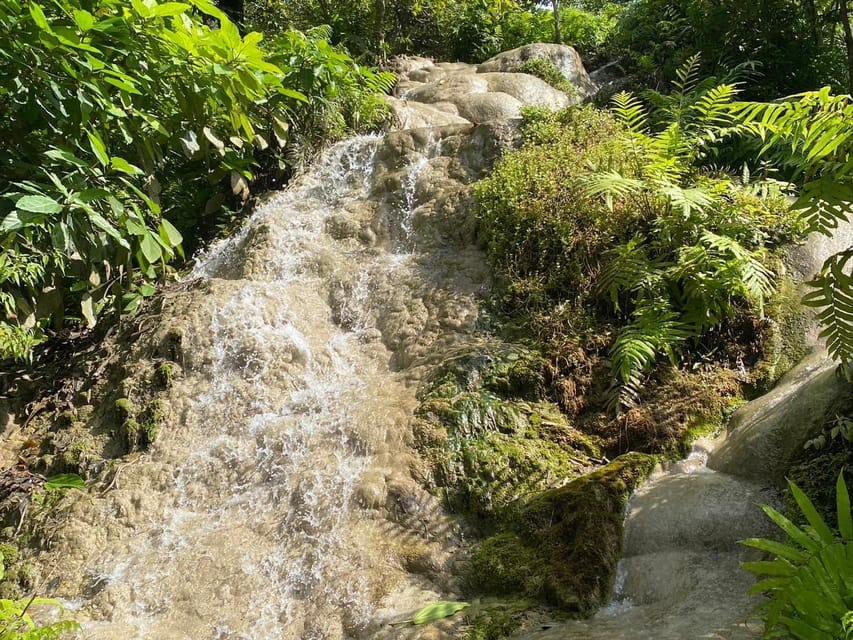 Chiang Mai Half Day Tour: Sticky Waterfall & Hotel Transfer - Inside the National Park: How You’ll Actually Spend Those Two Hours