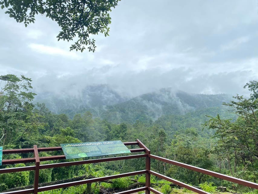 Chiang Mai Half Day Tour: Sticky Waterfall & Hotel Transfer - The Drive Up the Mountain: Comfort, Curves, and Motion Sickness