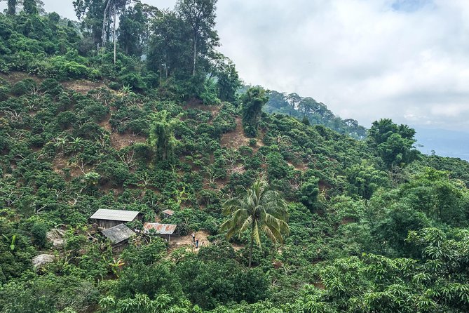 Chiang mai Hike & Downhill Bike Adventure –Suthep National Park - Stop 2: Mon Da Than Waterfall and the jungle climb to the hill tribe area