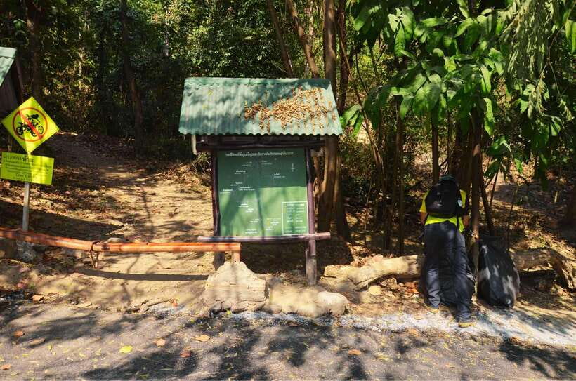 Chiang Mai: Hike on Monk’s Trail and Doi Suthep Private Tour - Timing, group feel, and why the 4 hours work