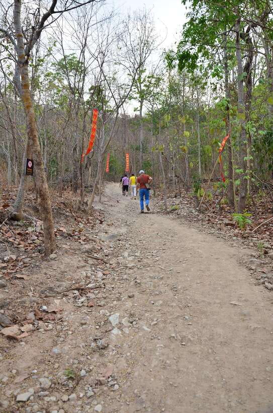 Chiang Mai: Hike on Monk’s Trail and Doi Suthep Private Tour - What to bring and what to avoid so the day stays easy