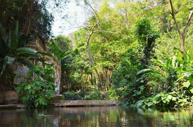 Chiang Mai: Hike on Monk’s Trail and Doi Suthep Private Tour - Who this tour is for (and who it isn’t)