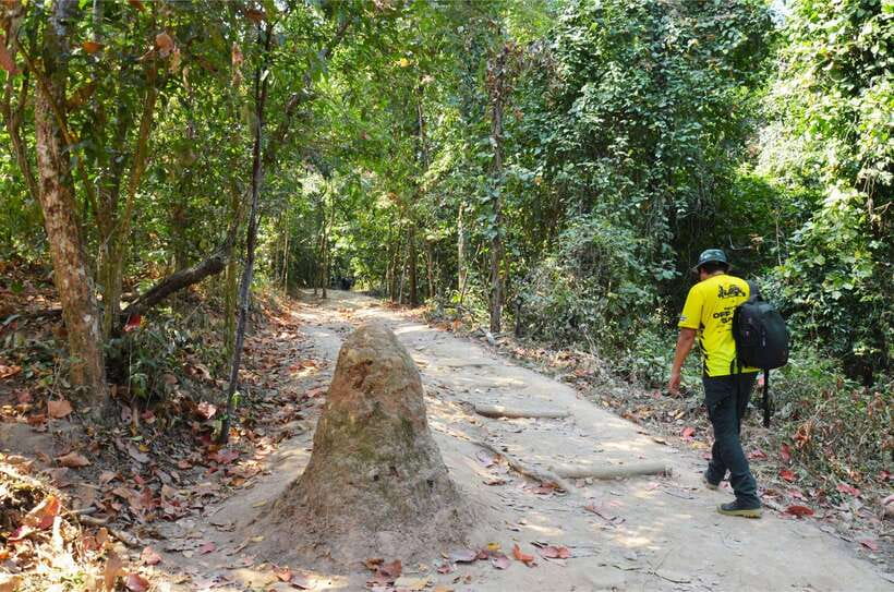 Chiang Mai: Hike on Monk’s Trail and Doi Suthep Private Tour - My verdict: should you book this Monk’s Trail and Doi Suthep private tour?