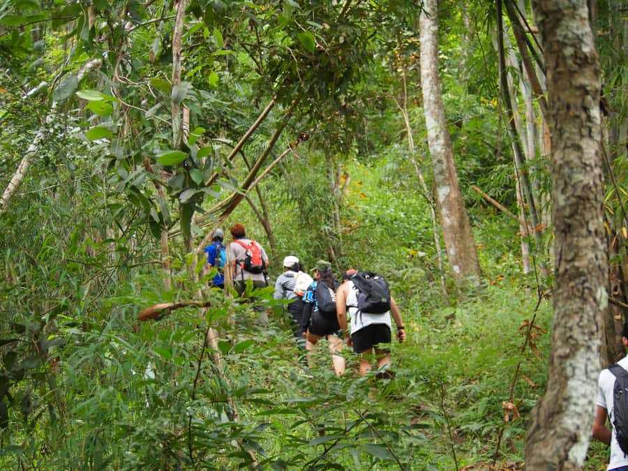 Chiang Mai: Hilltribe Hiking and Kayaking Day Trip - The 8:00 to 8:30 pickup and long van ride out to Mae Taeng