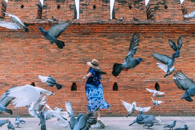 ️ Chiang Mai Instagram Tour: Most Famous Spots (Private and All-Inclusive) - From Warorot Market to Night Bazaar, the day turns local fast