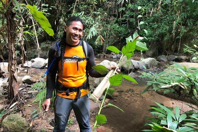 Chiang Mai: Inthanon, Elephant Sanctuary Observation & Waterfall - Doi Inthanon: Twin Royal Stupas and the Highest Peak Vibes